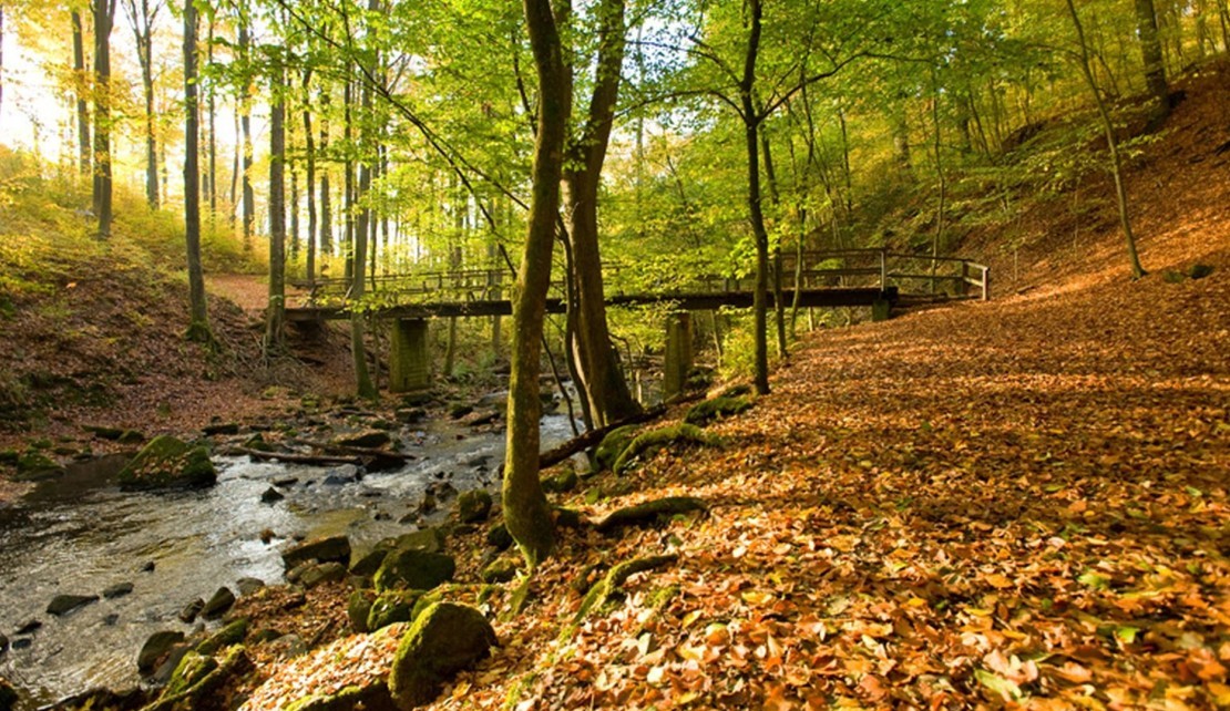 Holzbachschlucht