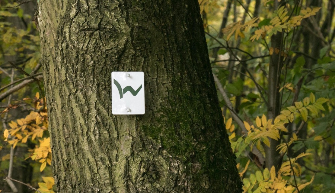 Westerwaldsteig Plakette